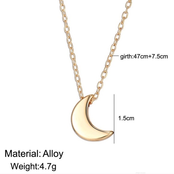 Moon Pendant Necklace - Picture 3 of 4